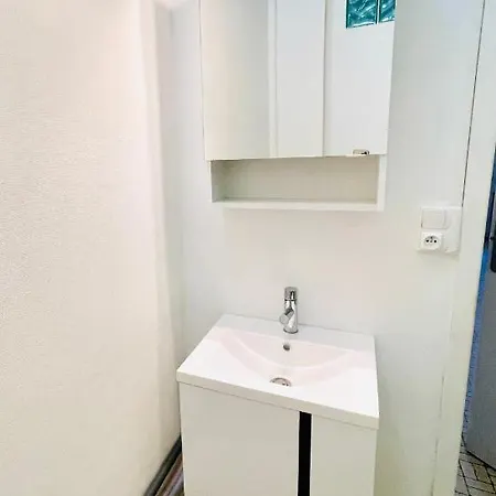 Albi Chambres 3* 阿尔比