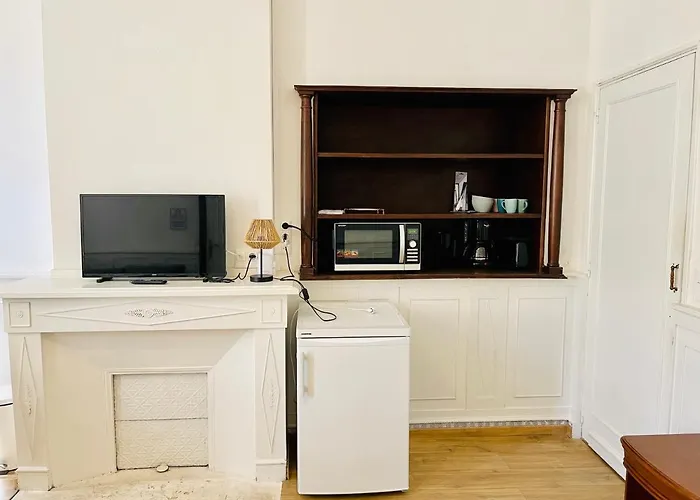 Albi Chambres 招待所 3*