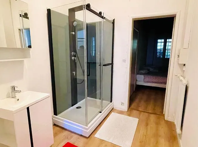 Albi Chambres 阿尔比