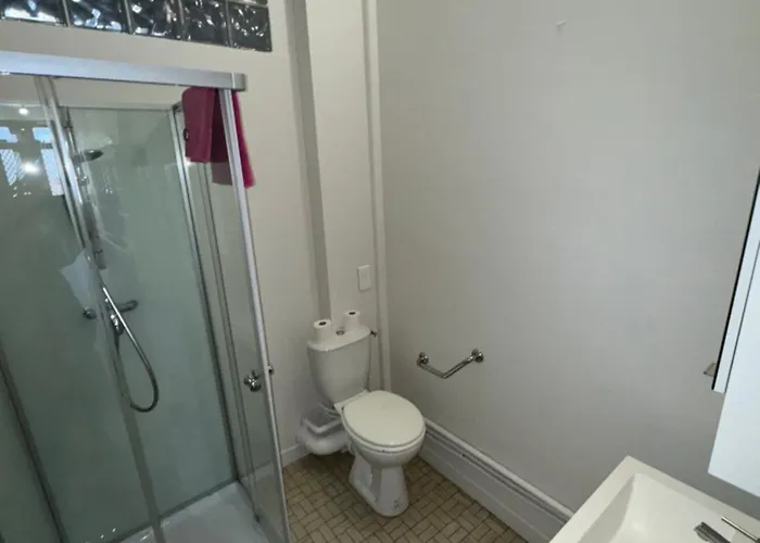 Albi Chambres 招待所 阿尔比